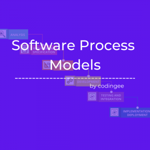 types-of-software-process-models